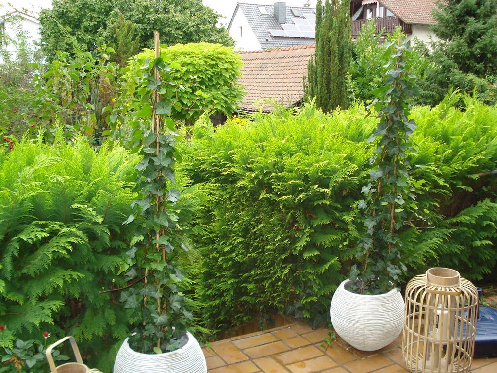 Apartment Sartorius Bensheim